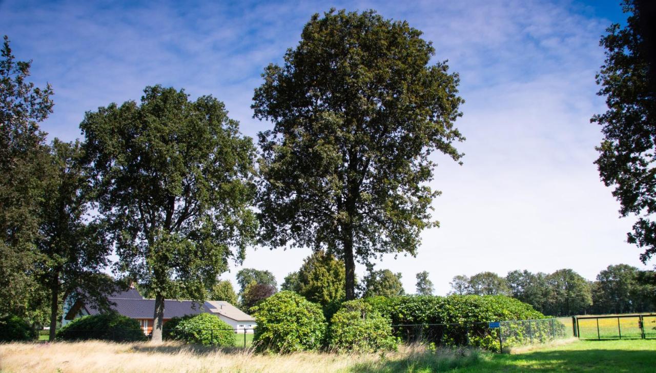 Bed And Breakfast Lindershoeve Bergeijk Esterno foto